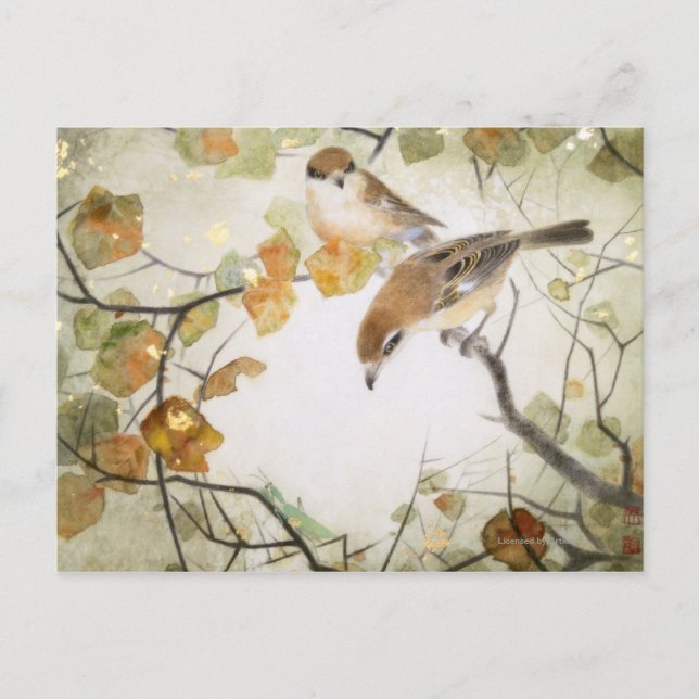 Lilla Creature-Bull-märkta Shkes Vykort (Framsida)