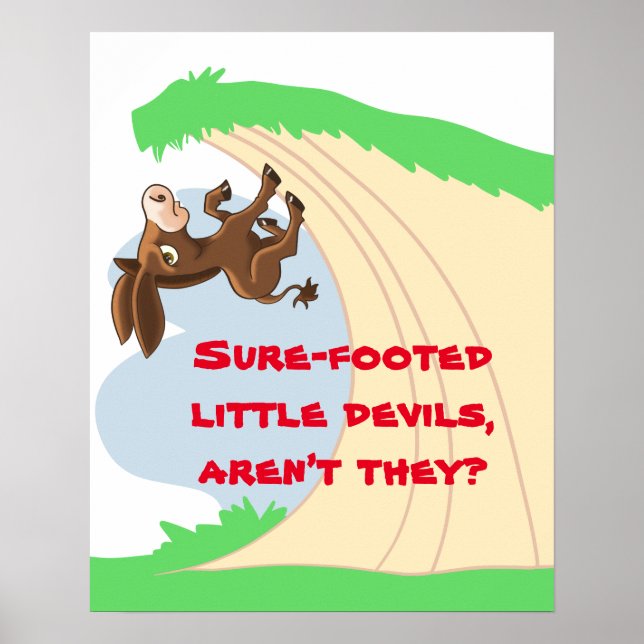 Lilla Donkey Poster (Framsidan)