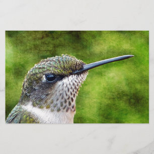 Lilla hummer brevpapper