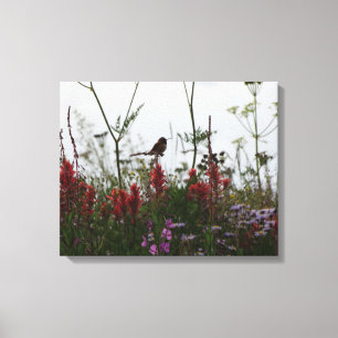 lilla Hummingbird Canvastryck