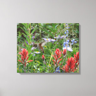 lilla Hummingbird Canvastryck