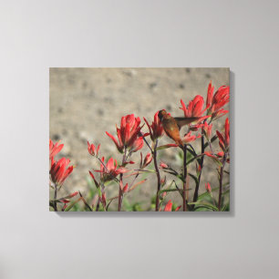 lilla Hummingbird Canvastryck