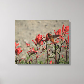 lilla Hummingbird Canvastryck