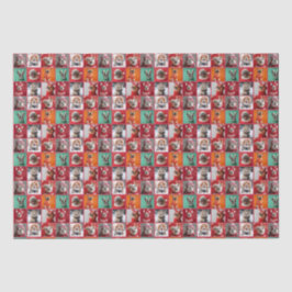 Lilla Hundar i sötare som slår Pappra rullar