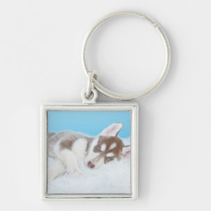 Lilla Husky Puppy på Blanket Fyrkantig Silverfärgad Nyckelring
