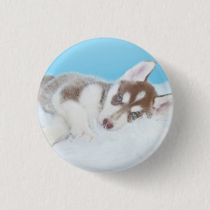 Lilla Husky Puppy på Blanket Knapp