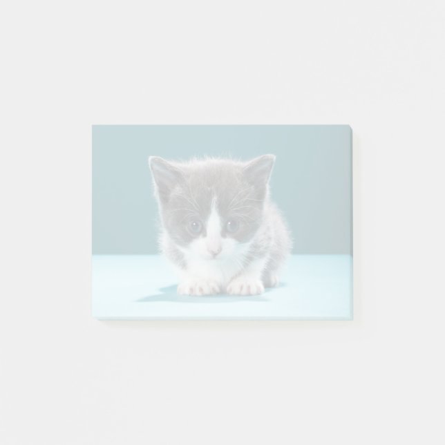 Lilla kattunge post-it block (Framsida)