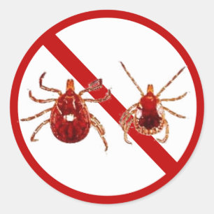 Lilla klistermärkear, Lyme sjukdomfästing (vit) Runt Klistermärke