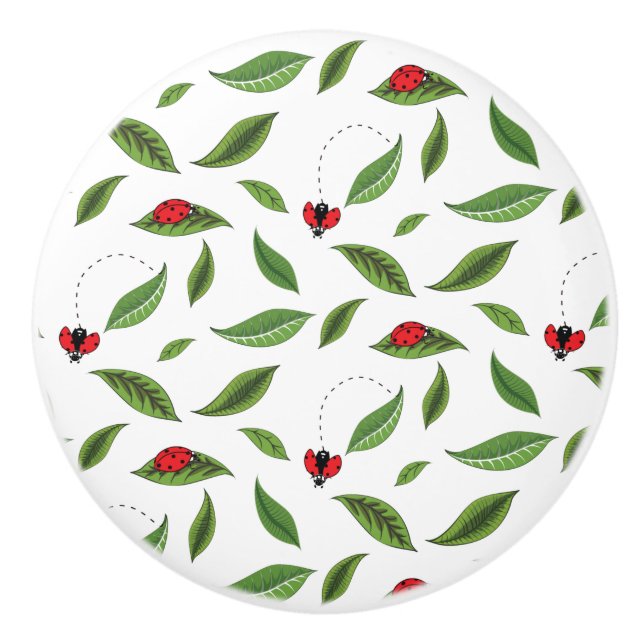 Lilla Ladybugs Knopp (Framsidan)