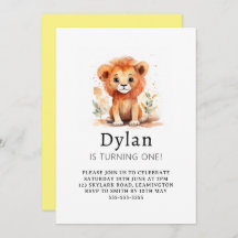 Lilla Lejona pojken Birthday