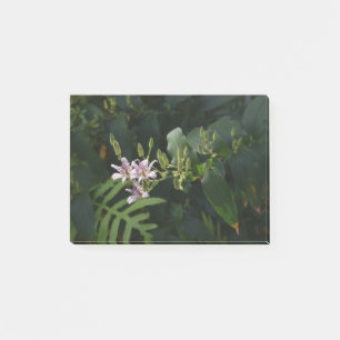 Lilla Lily i Spotlight. Post-it Block