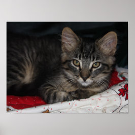 Lilla Mysiga julhelgen Poster