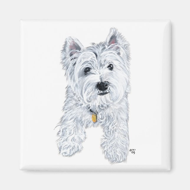 Lilla Nyfikna Westie Magnet (Framsidan)