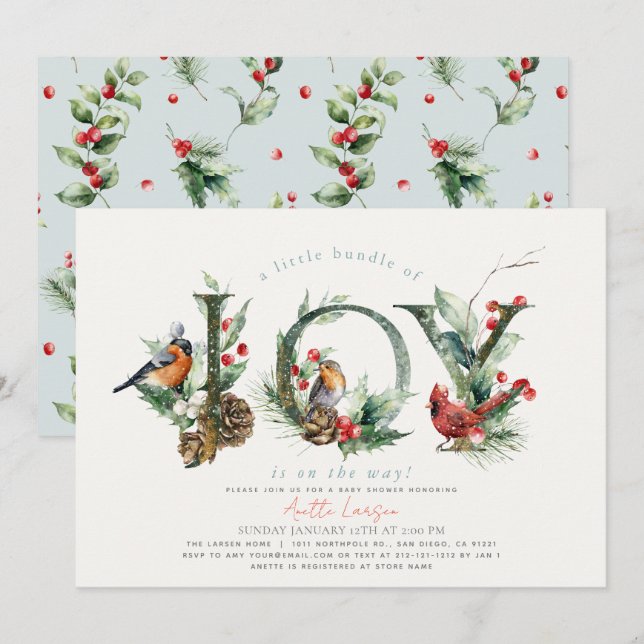 Lilla paket med Joy Birds Boy Shower Inbjudningar (Fram/baksida)