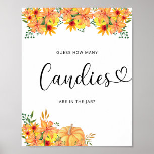 Lilla pumpa blommigt gissa hur många kanaler poster