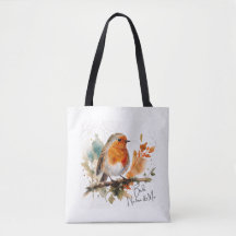 Lilla Robin - Fåglar, Natur & Jag