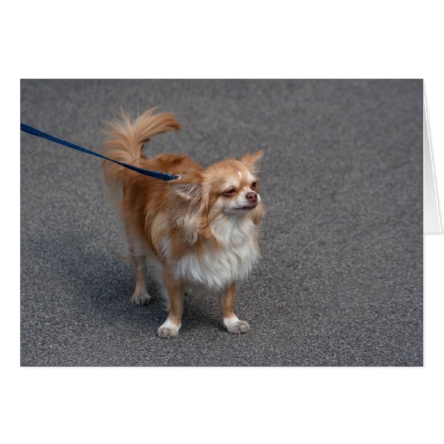 Lilla Rödhårig Hälsningskort (Framsidan Horizontal)