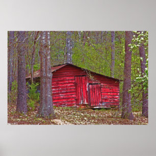 Lilla rödsken i Skogen Poster