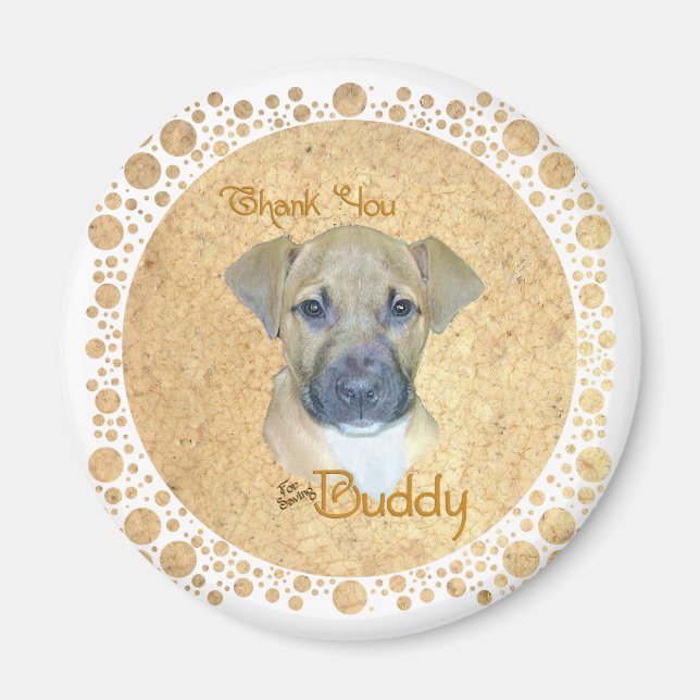 Lilla skadad Valp - räddad! Magnet (Framsidan)