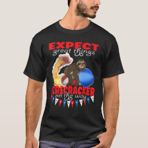 Lilla Sloth flyger Fireworks på vägen T Shirt