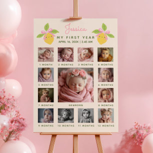 Lilla sötnos Citron 1-års födelsedags fototimeline Poster