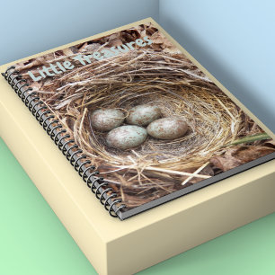 Lilla Treasures Bird Nest Eggs Anteckningsbok
