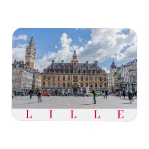 Lille Grand Ställe-kylskåp Magnet