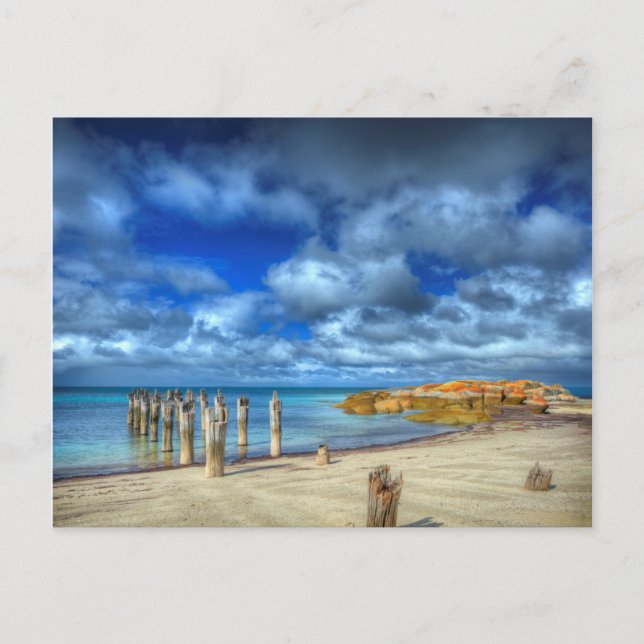 Lillies Beach | Wybalena, Flinders Island Vykort (Framsida)