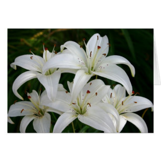 Lillies Hälsningskort