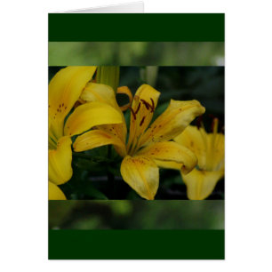 Lillies i Grönt Hälsningskort