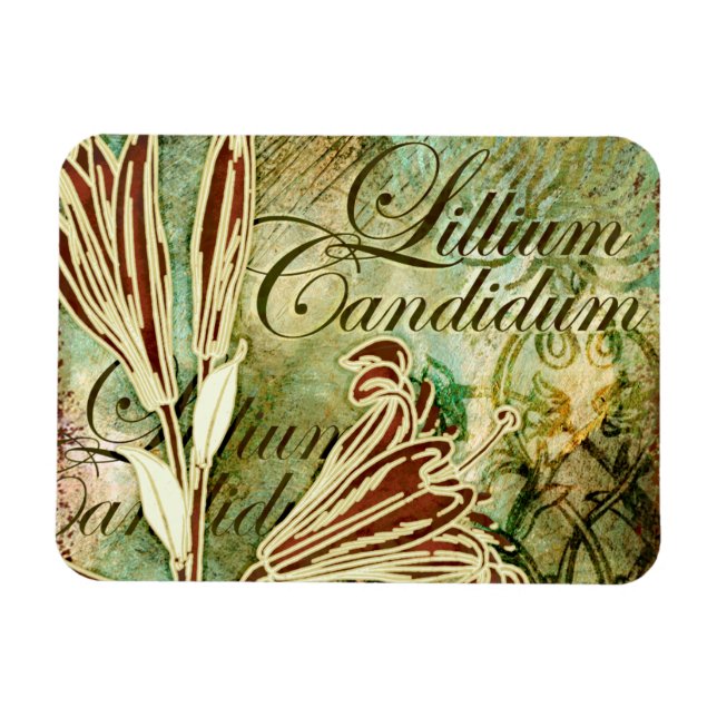 Lillium Candidum Magnet (Horisontell)