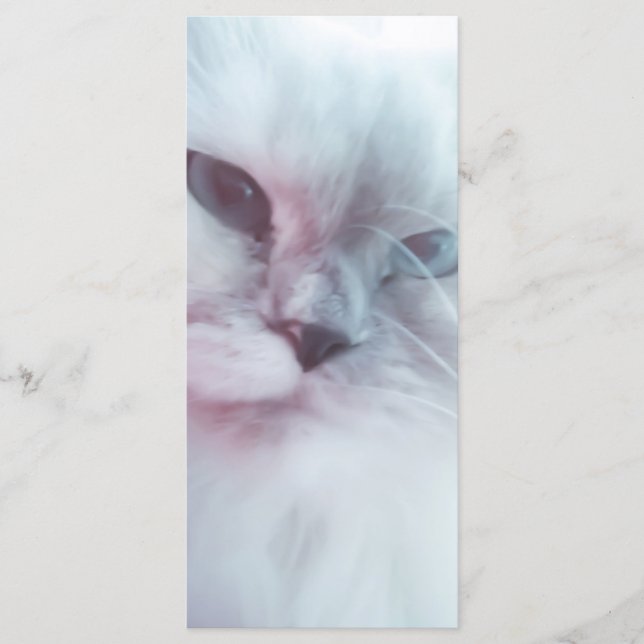 Lilly Bookmark Meny (Framsida)