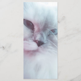Lilly Bookmark Meny