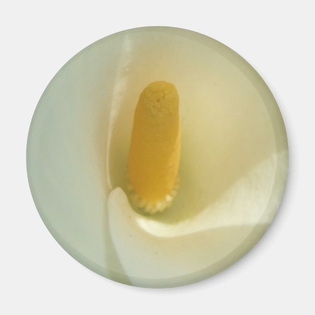 Lilly Center Magnet (Framsidan)