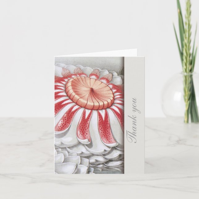 Lilly Dynors Blommigt Tackkort (Framsida)