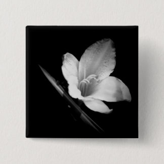 Lilly is 1 knäppas knapp