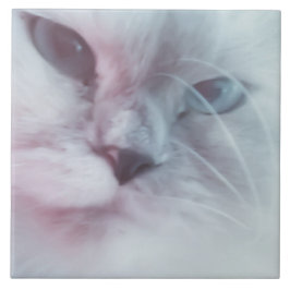Lilly Kakelplatta