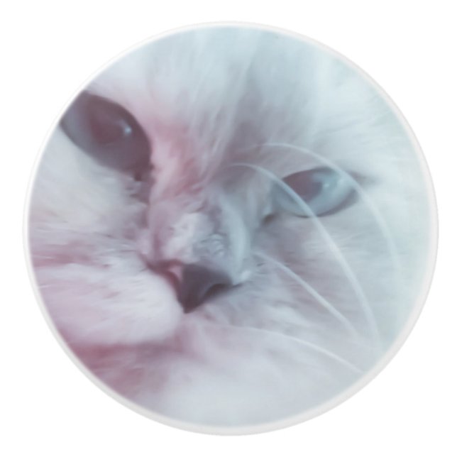 Lilly Knopp (Framsidan)