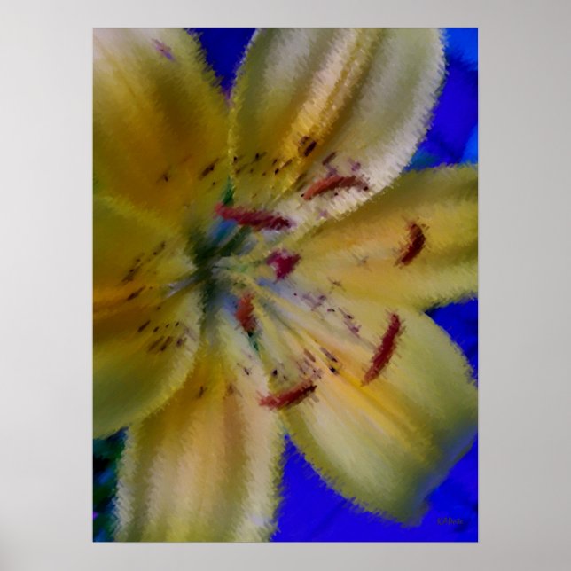 Lilly Lillies Flowers Blomsterfotografi Poster (Framsidan)