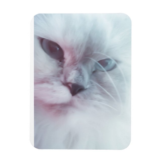 Lilly Magnet (Vertikal)