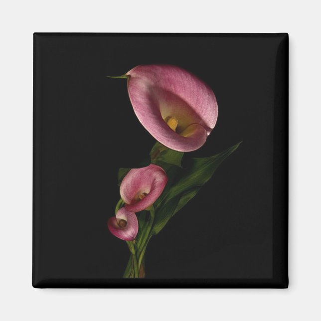 Lilly Magnet (Framsidan)