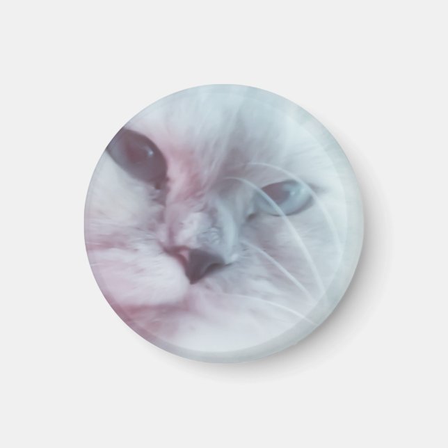 Lilly Magnet (Framsidan)