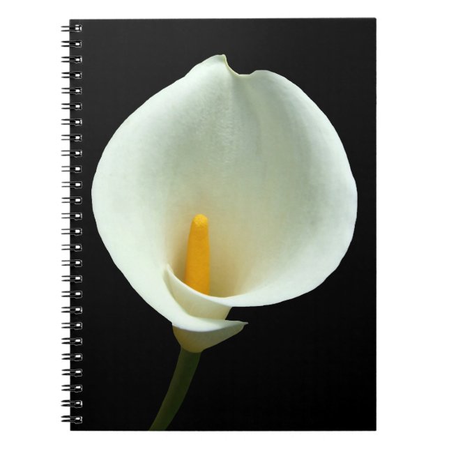 Lilly Notebook Anteckningsbok (Framsidan)