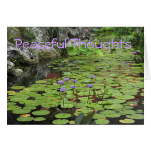 Lilly Pond Hälsningskort