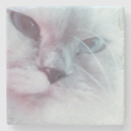 Lilly Stenunderlägg