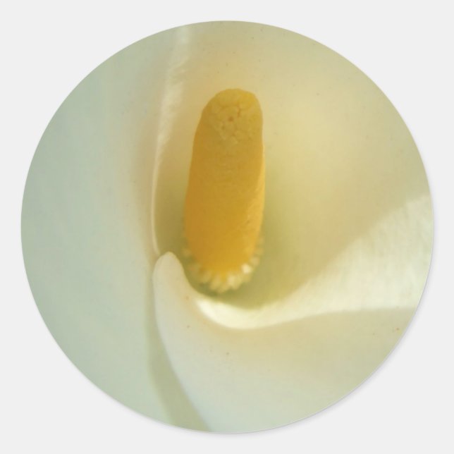 Lilly Stickers Runt Klistermärke (Framsida)
