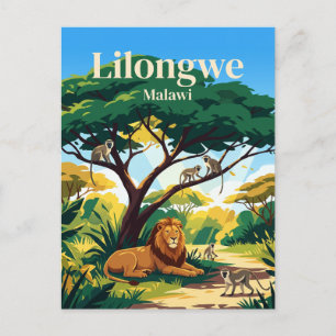 Lilongwe Wildlife Centre Malawi Vykort