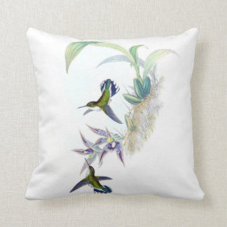Lilor för grönt för vintageHummingbirdillustration Kudde