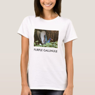 LILOR GALLINULE T SHIRT