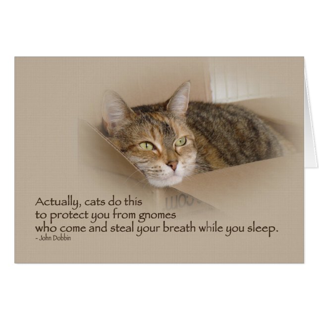 Lily #1 hälsningskort (Framsidan Horizontal)